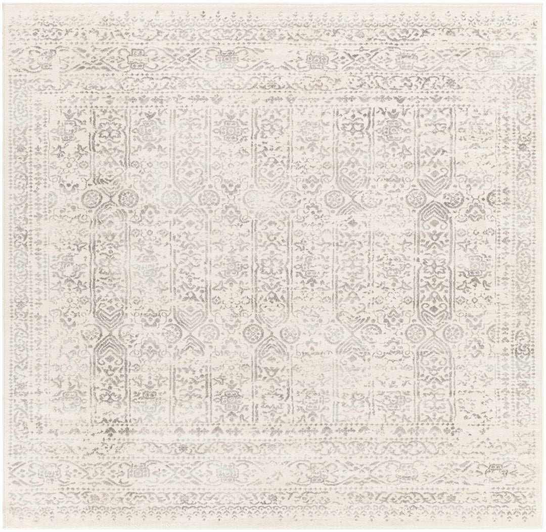 Traditional Beige ang Gray Medium Pile Multi Size Area Rug - The Rug Decor