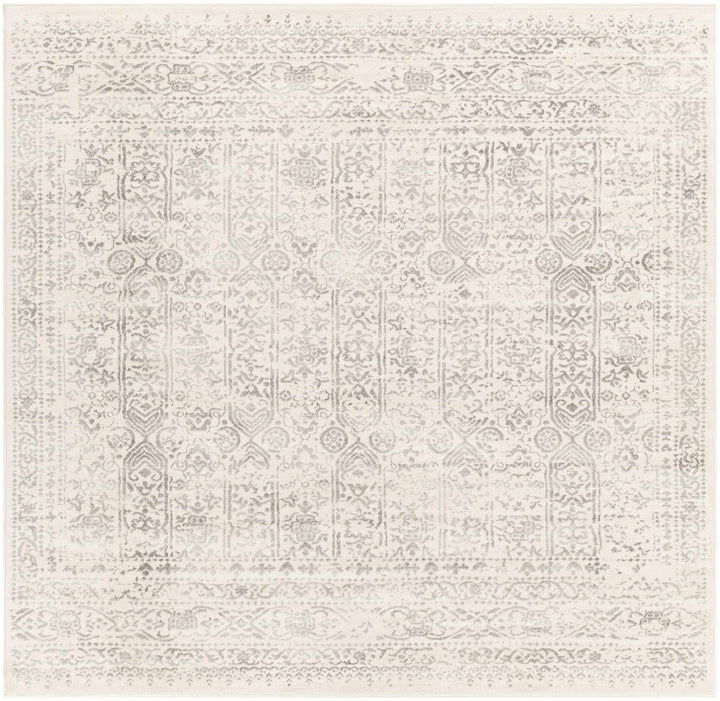 Traditional Beige ang Gray Medium Pile Multi Size Area Rug - The Rug Decor