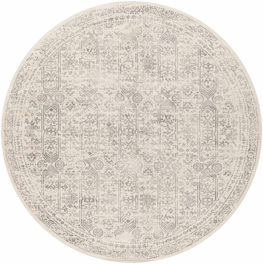 Traditional Beige ang Gray Medium Pile Multi Size Area Rug - The Rug Decor