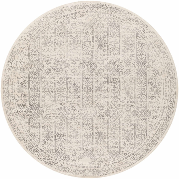 Traditional Beige ang Gray Medium Pile Multi Size Area Rug - The Rug Decor