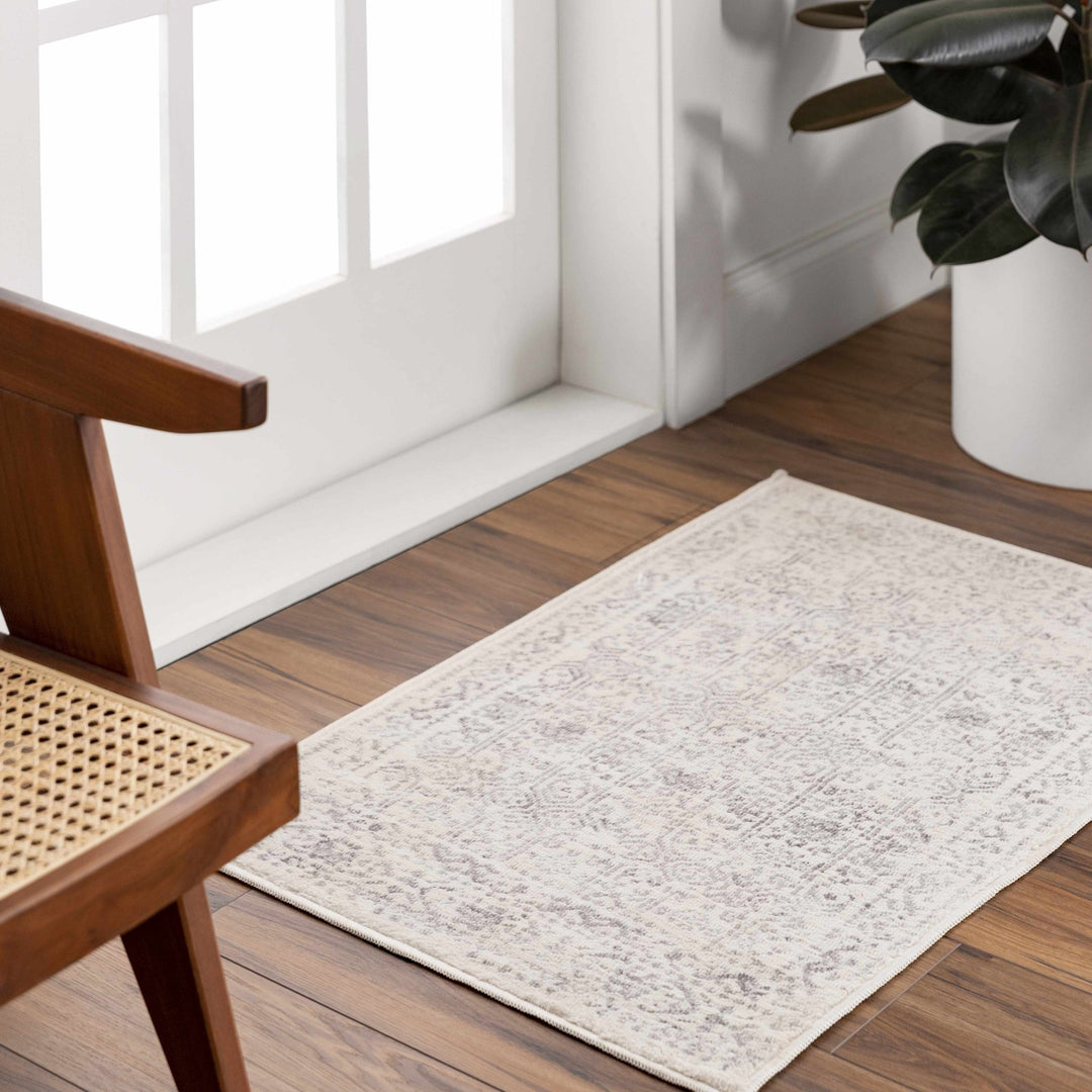 Traditional Beige ang Gray Medium Pile Multi Size Area Rug - The Rug Decor