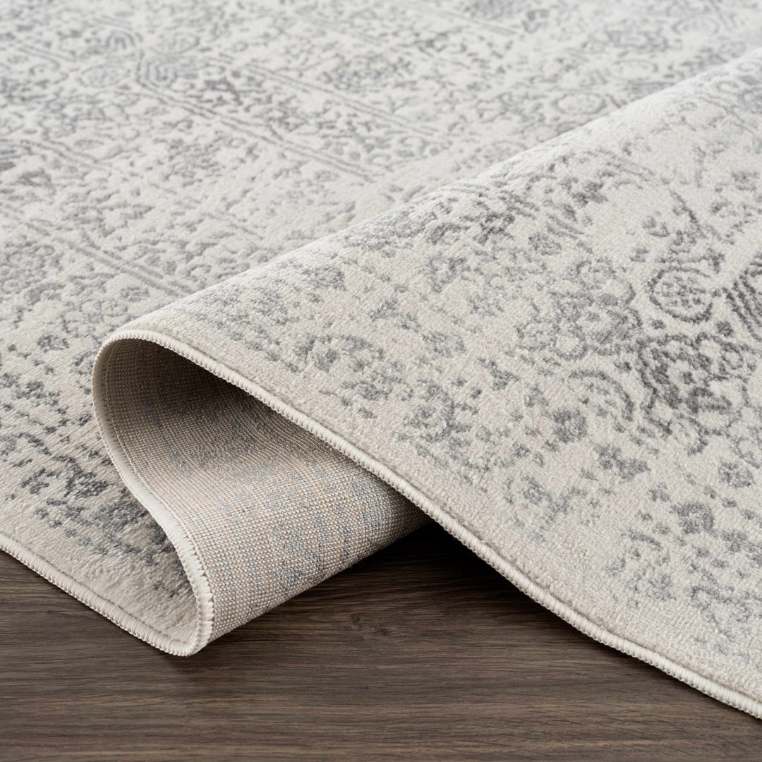 Traditional Beige ang Gray Medium Pile Multi Size Area Rug - The Rug Decor