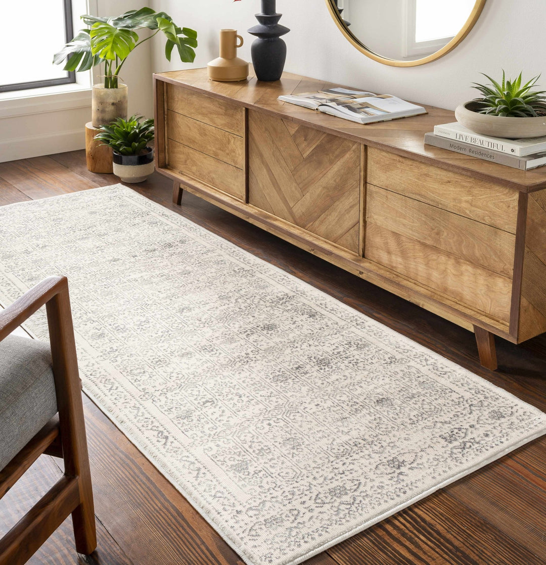 Traditional Beige ang Gray Medium Pile Multi Size Area Rug - The Rug Decor