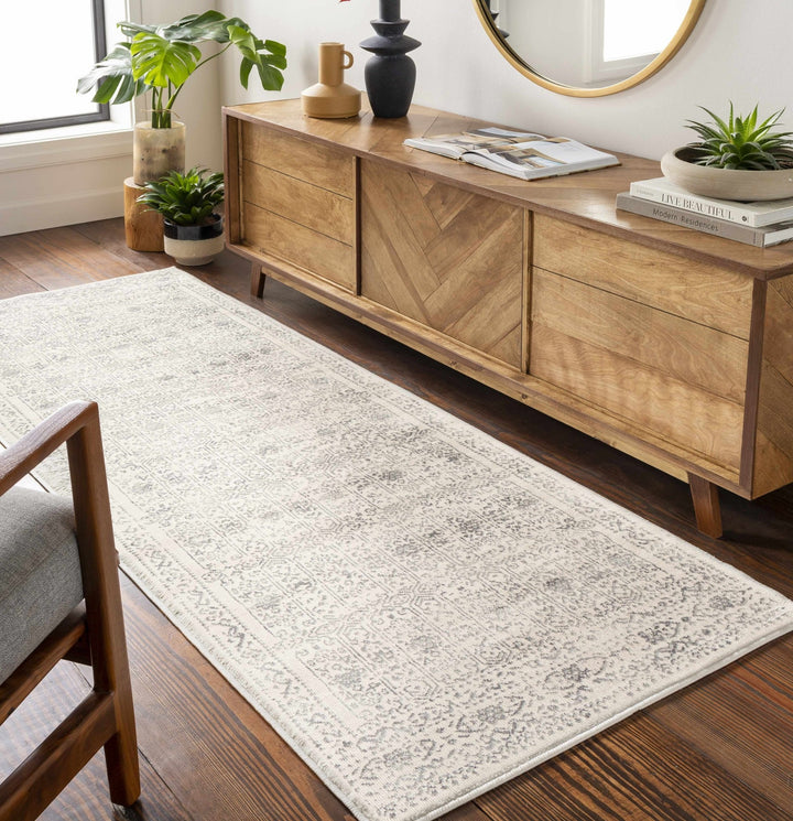 Traditional Beige ang Gray Medium Pile Multi Size Area Rug - The Rug Decor