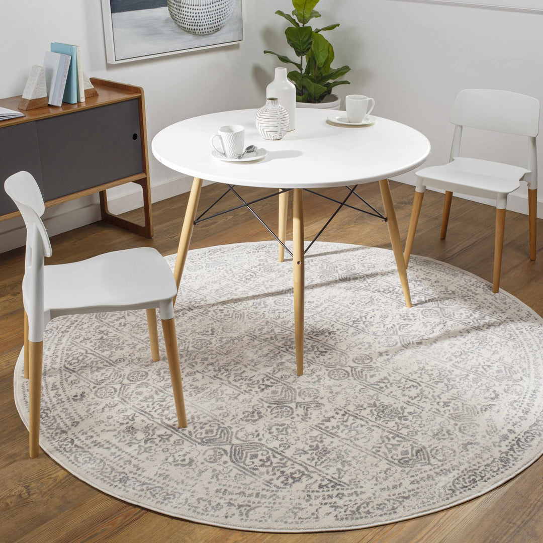 Traditional Beige ang Gray Medium Pile Multi Size Area Rug - The Rug Decor