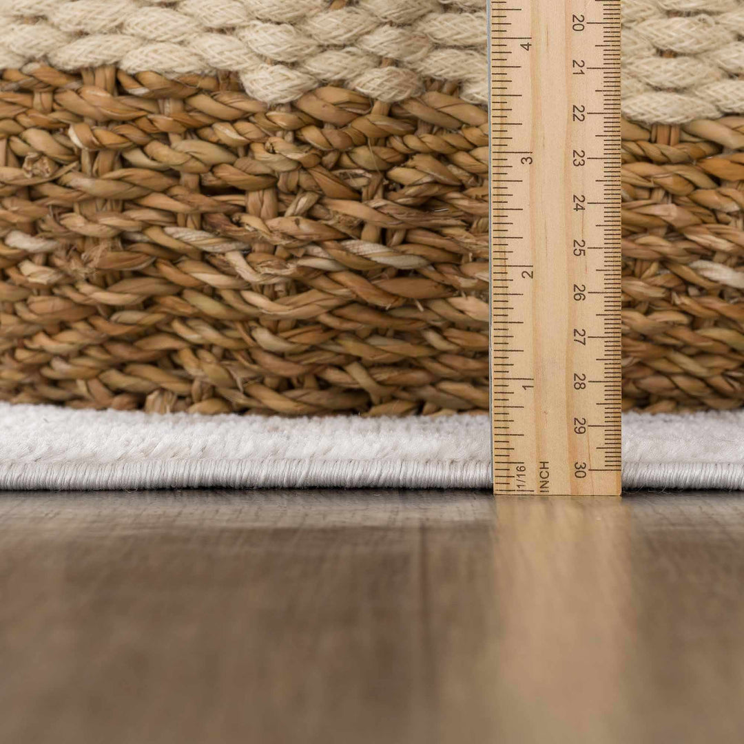 Traditional Beige, Camel and Charcoal Medium Pile Area Rug - The Rug Decor