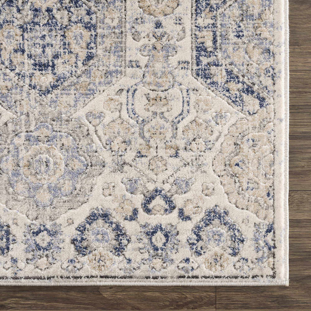 Traditional Blue and Beige Multi color Medium Pile Area Rug - The Rug Decor