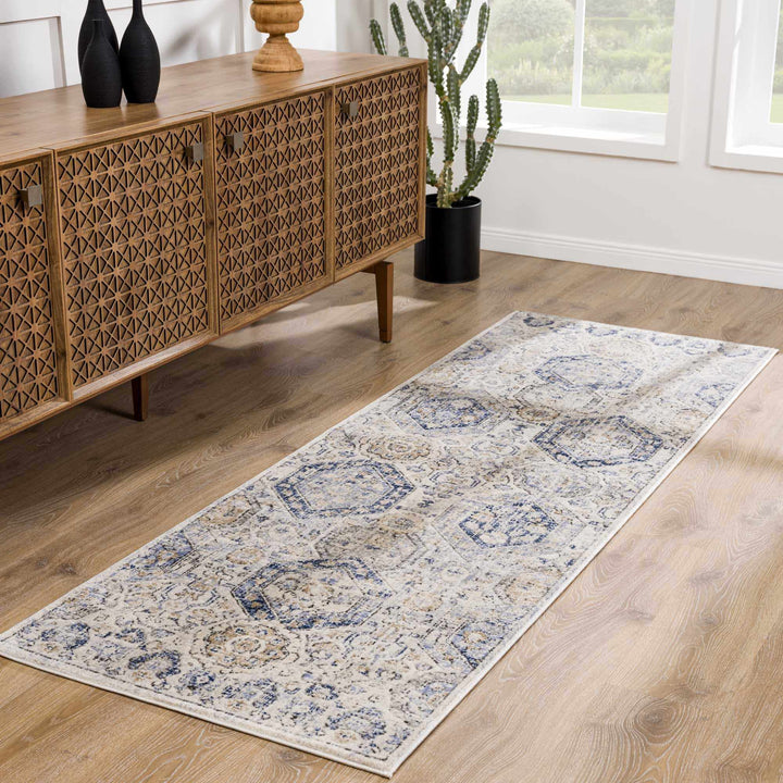 Traditional Blue and Beige Multi color Medium Pile Area Rug - The Rug Decor