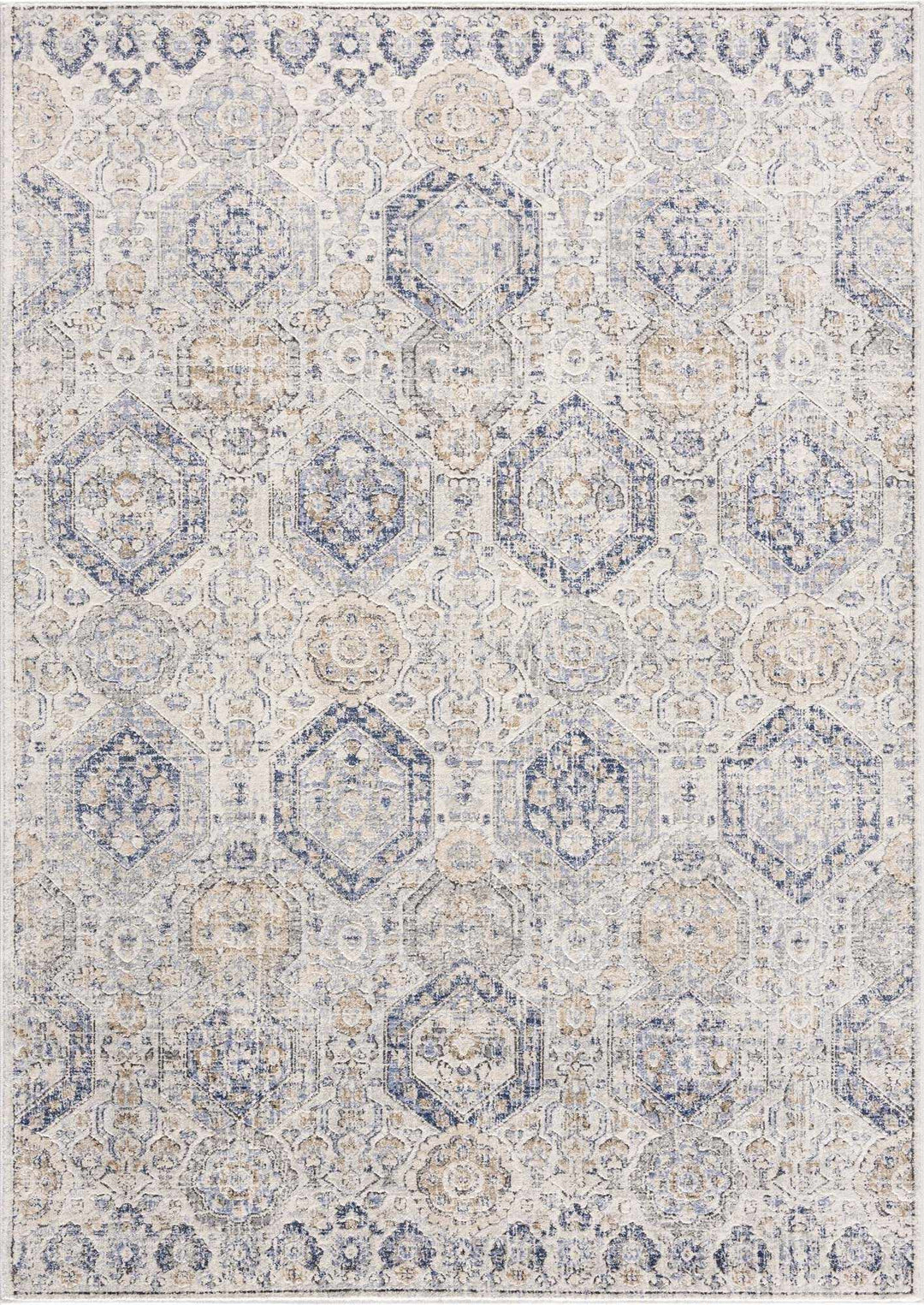 Traditional Blue and Beige Multi color Medium Pile Area Rug - The Rug Decor