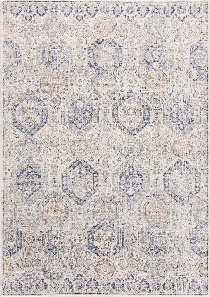 Traditional Blue and Beige Multi color Medium Pile Area Rug - The Rug Decor