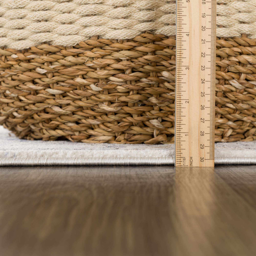 Traditional Blue and Beige Multi color Medium Pile Area Rug - The Rug Decor