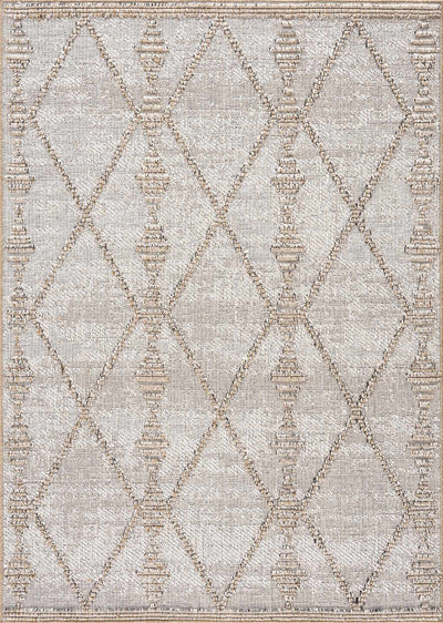 Traditional Contemporary Beige and Camel Medium Pile Outdoor Area Rug - The Rug Decor