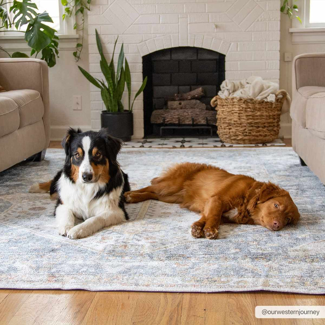 Traditional Ivory, Charcoal and Camel Vintage Style Machine Washable Area Rug - The Rug Decor