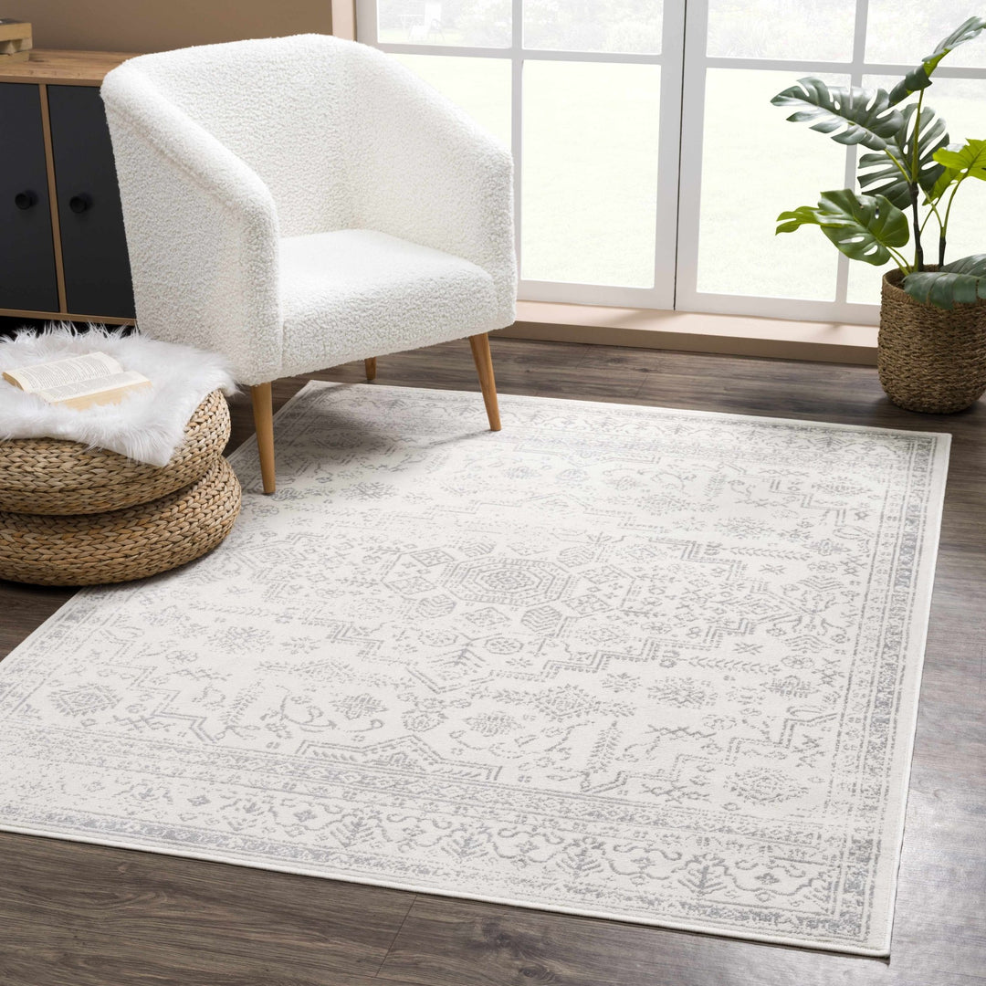Traditional Medallion Design Contemporary Ivory and Gray Medium pile Area Rug - The Rug Decor