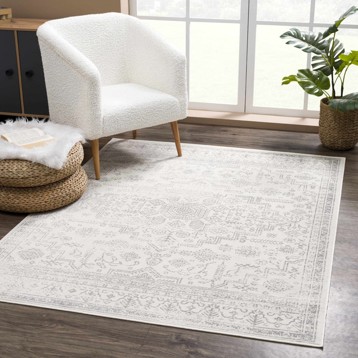 Traditional Medallion Design Contemporary Ivory and Gray Medium pile Area Rug - The Rug Decor