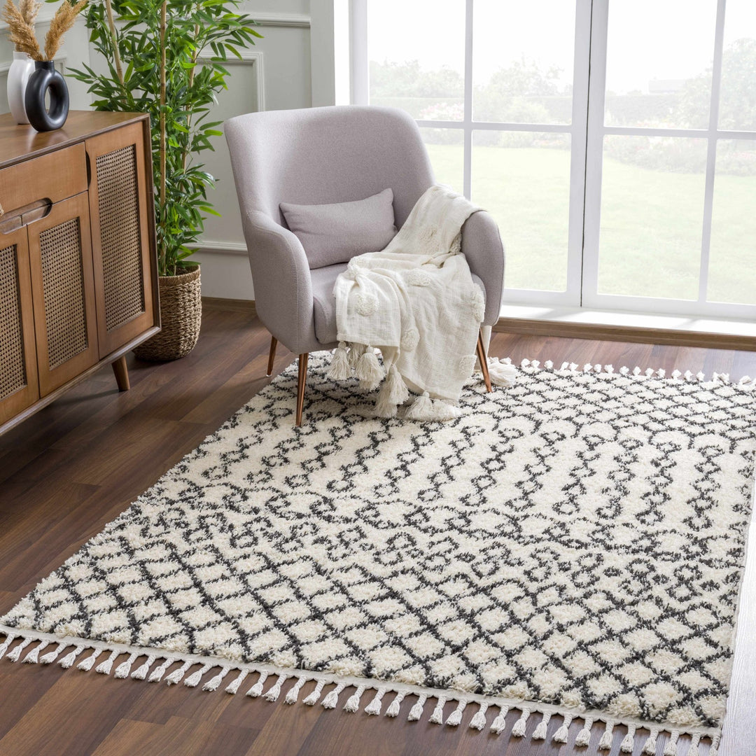 Traditional Moroccan Style Beige and Black Plush Pile Area Rug - The Rug Decor