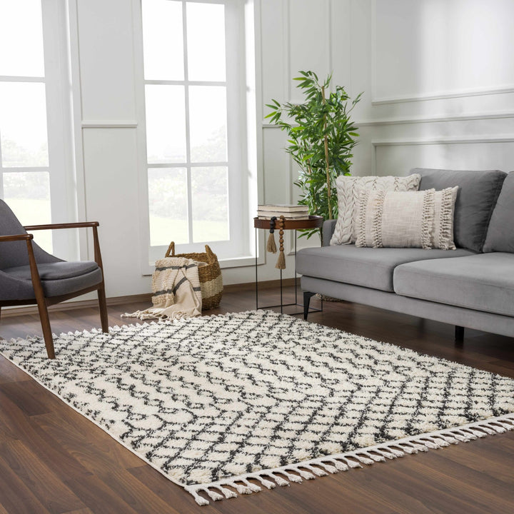 Traditional Moroccan Style Beige and Black Plush Pile Area Rug - The Rug Decor