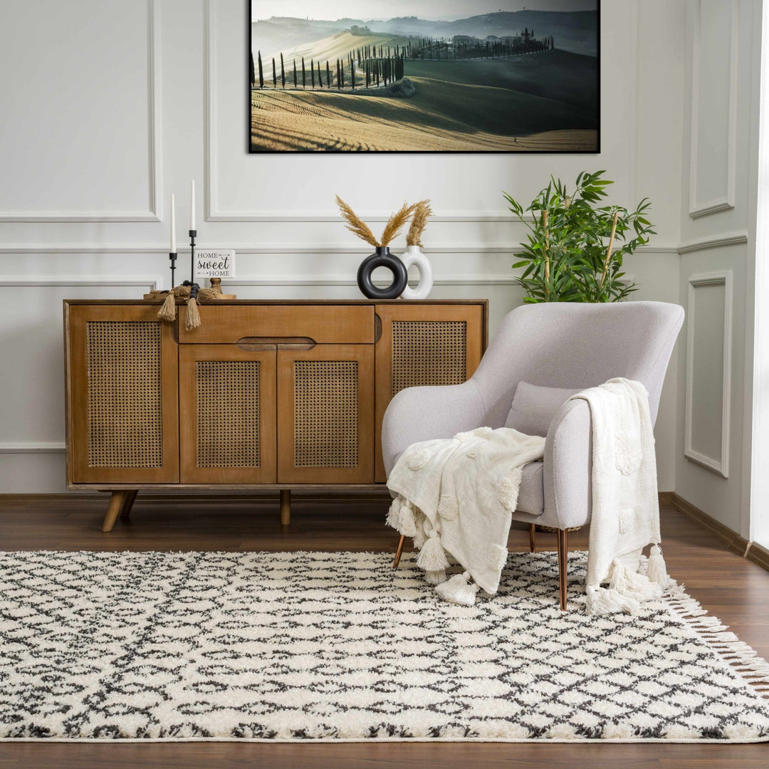 Traditional Moroccan Style Beige and Black Plush Pile Area Rug - The Rug Decor