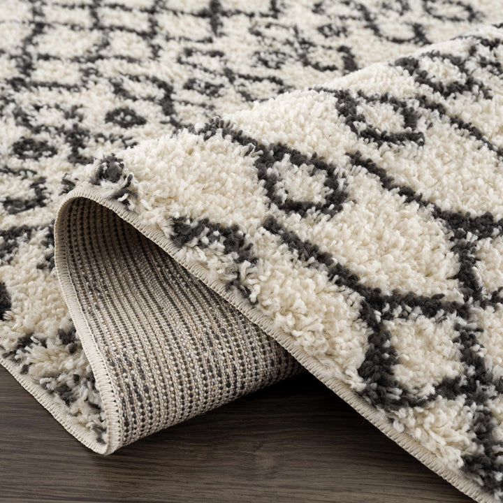 Traditional Moroccan Style Beige and Black Plush Pile Area Rug - The Rug Decor