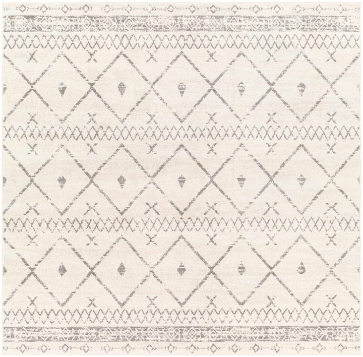 Traditional Moroccan Style Beige, Gray, Ivory Medium Pile Multi Size Area Rug - The Rug Decor
