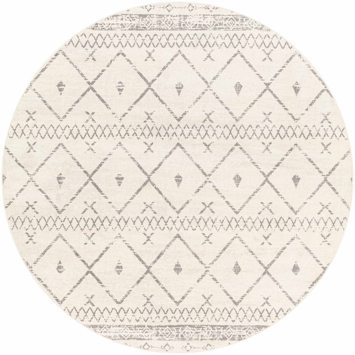 Traditional Moroccan Style Beige, Gray, Ivory Medium Pile Multi Size Area Rug - The Rug Decor