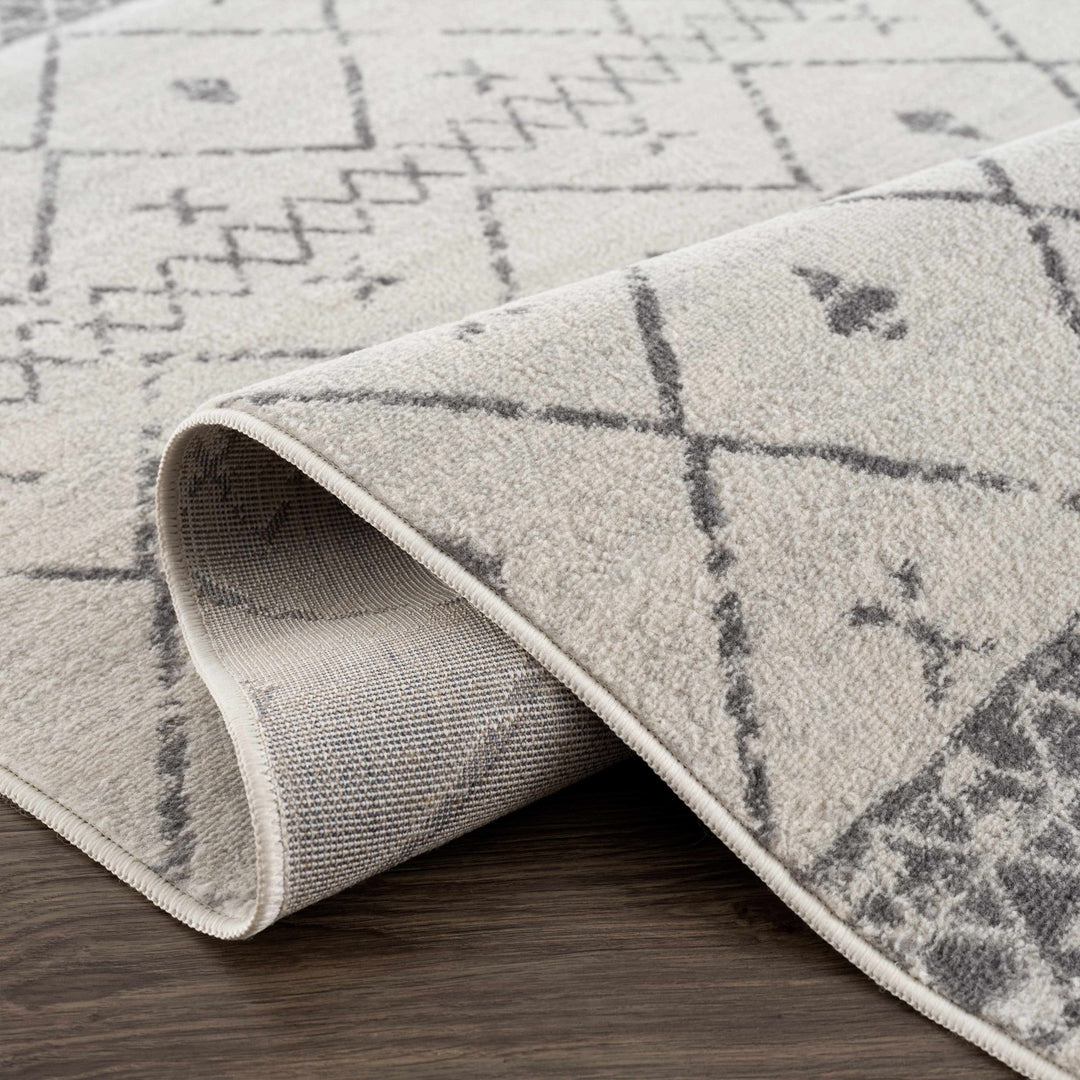 Traditional Moroccan Style Beige, Gray, Ivory Medium Pile Multi Size Area Rug - The Rug Decor
