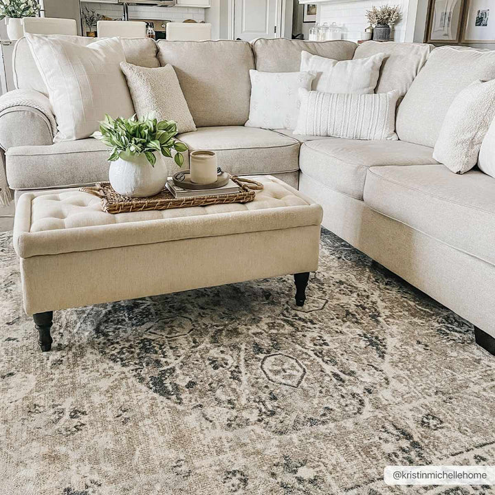 Traditional Oriental Light Brown and Blue and Medallion Design Low pile Area Rug - The Rug Decor