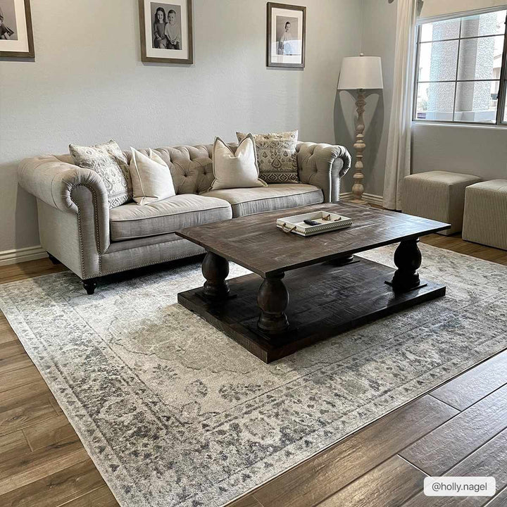 Traditional Oriental Light Brown and Blue and Medallion Design Low pile Area Rug - The Rug Decor