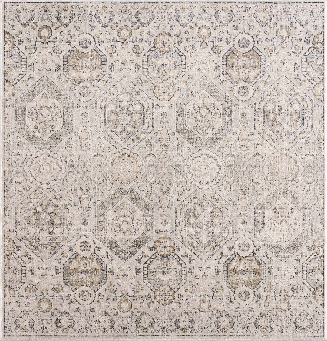 Traditional Overall Design Beige and Brown Medium Pile Area Rug - The Rug Decor