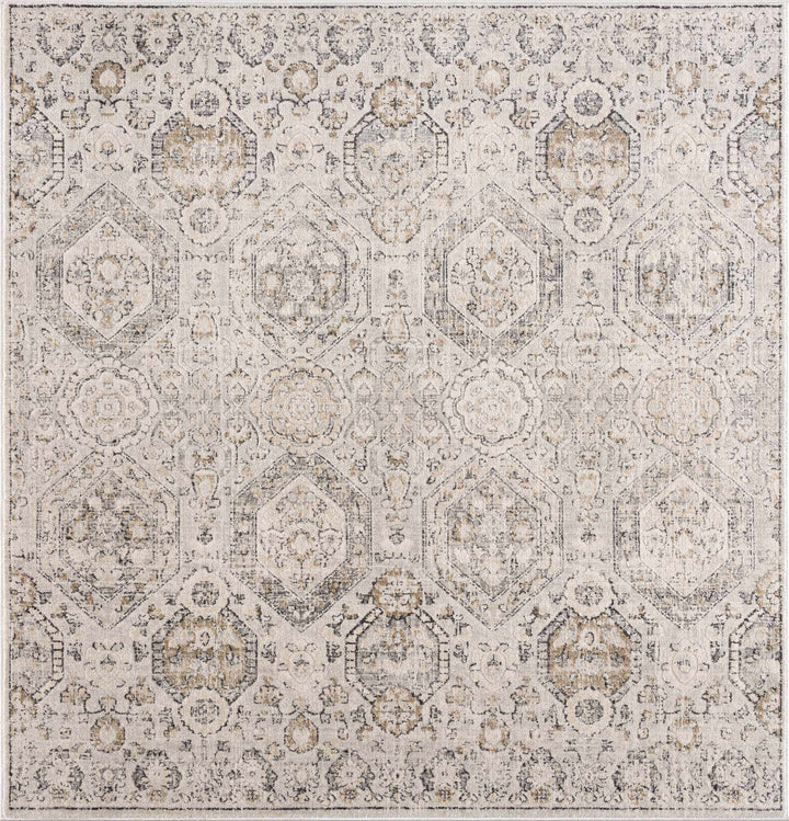 Traditional Overall Design Beige and Brown Medium Pile Area Rug - The Rug Decor