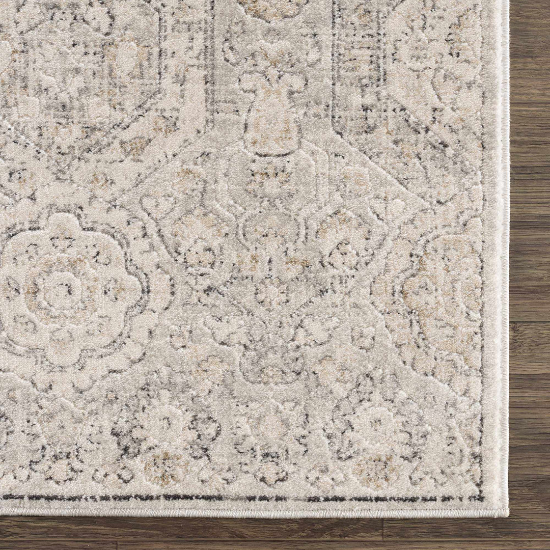 Traditional Overall Design Beige and Brown Medium Pile Area Rug - The Rug Decor