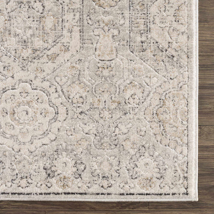 Traditional Overall Design Beige and Brown Medium Pile Area Rug - The Rug Decor