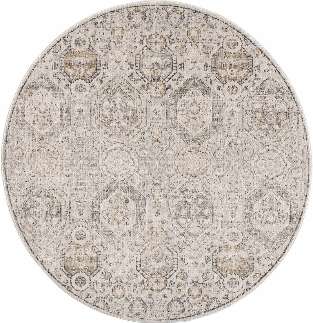 Traditional Overall Design Beige and Brown Medium Pile Area Rug - The Rug Decor