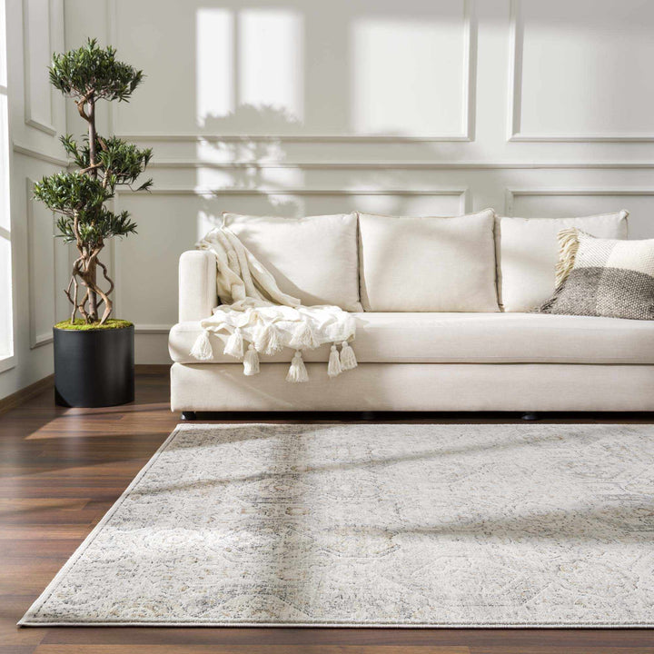Traditional Overall Design Beige and Brown Medium Pile Area Rug - The Rug Decor