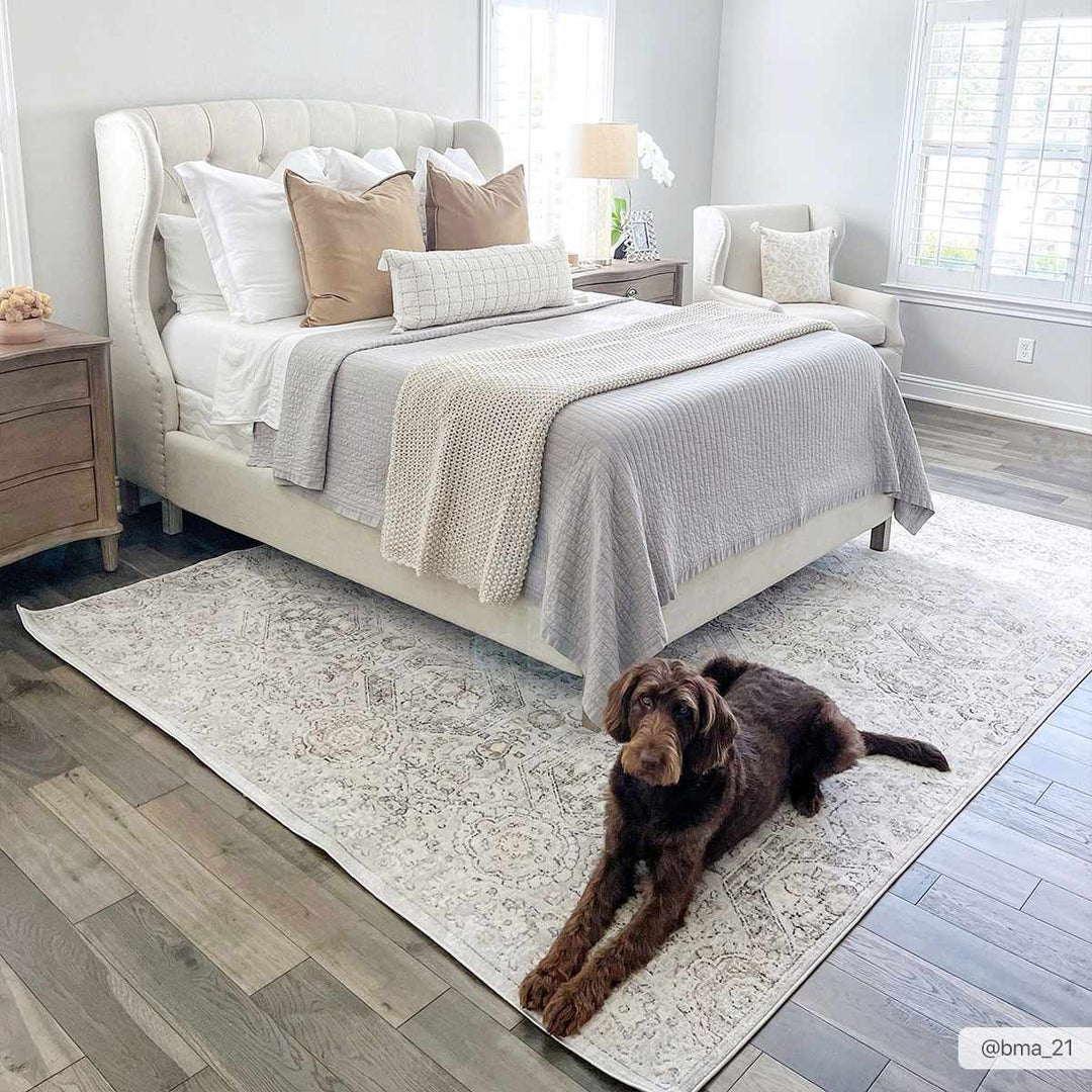 Traditional Overall Design Beige and Brown Medium Pile Area Rug - The Rug Decor