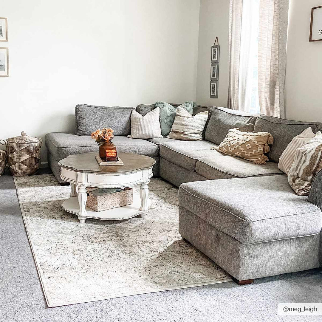 Traditional Overall Design Beige and Brown Medium Pile Area Rug - The Rug Decor