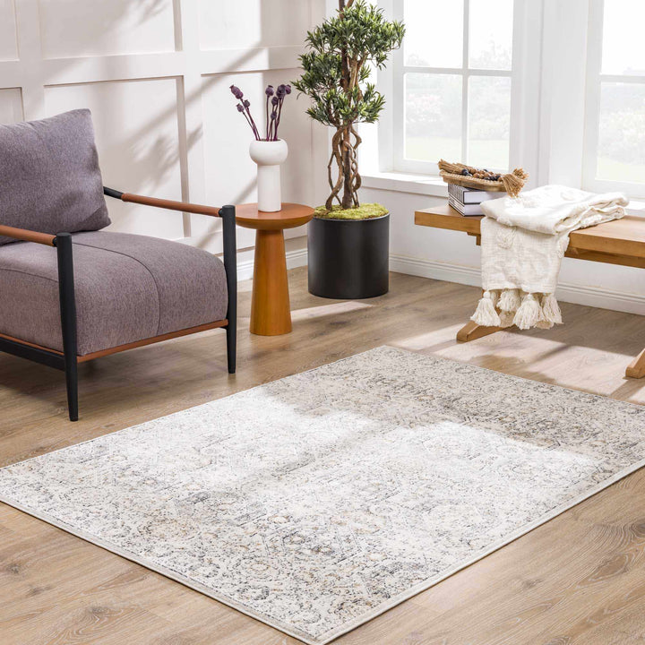 Traditional Overall Design Beige and Brown Medium Pile Area Rug - The Rug Decor