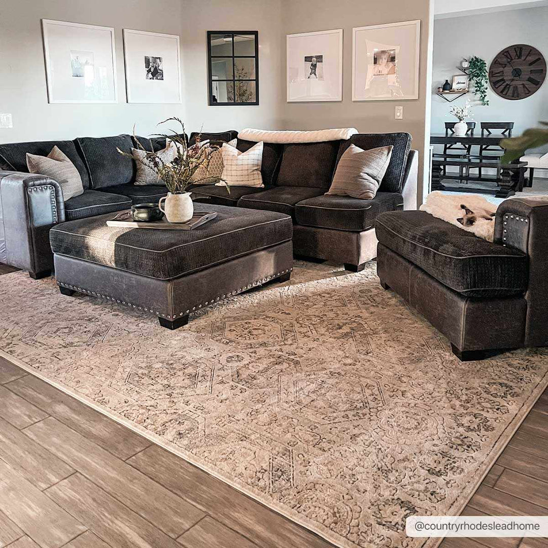 Traditional Overall Design Beige and Brown Medium Pile Area Rug - The Rug Decor