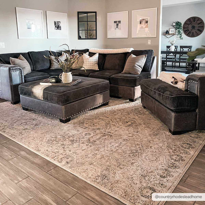 Traditional Overall Design Beige and Brown Medium Pile Area Rug - The Rug Decor