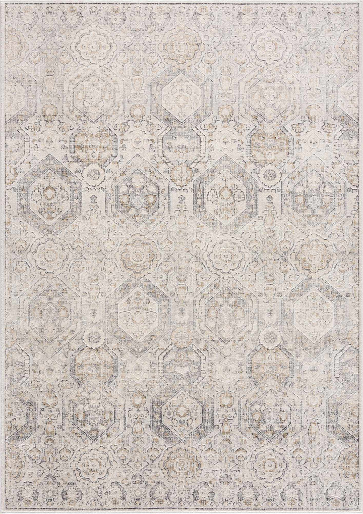 Traditional Overall Design Beige and Brown Medium Pile Area Rug - The Rug Decor