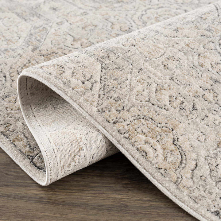 Traditional Overall Design Beige and Brown Medium Pile Area Rug - The Rug Decor