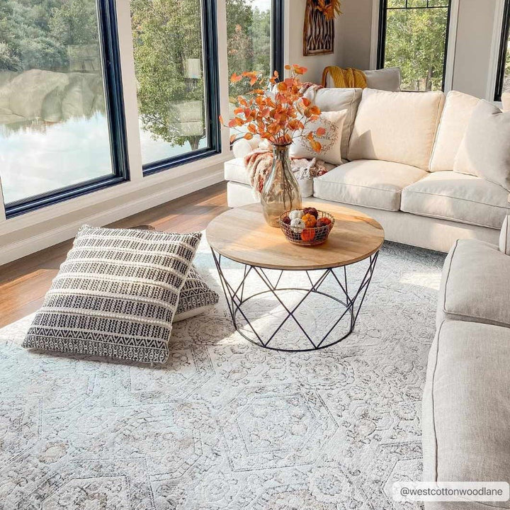 Traditional Overall Design Beige and Brown Medium Pile Area Rug - The Rug Decor