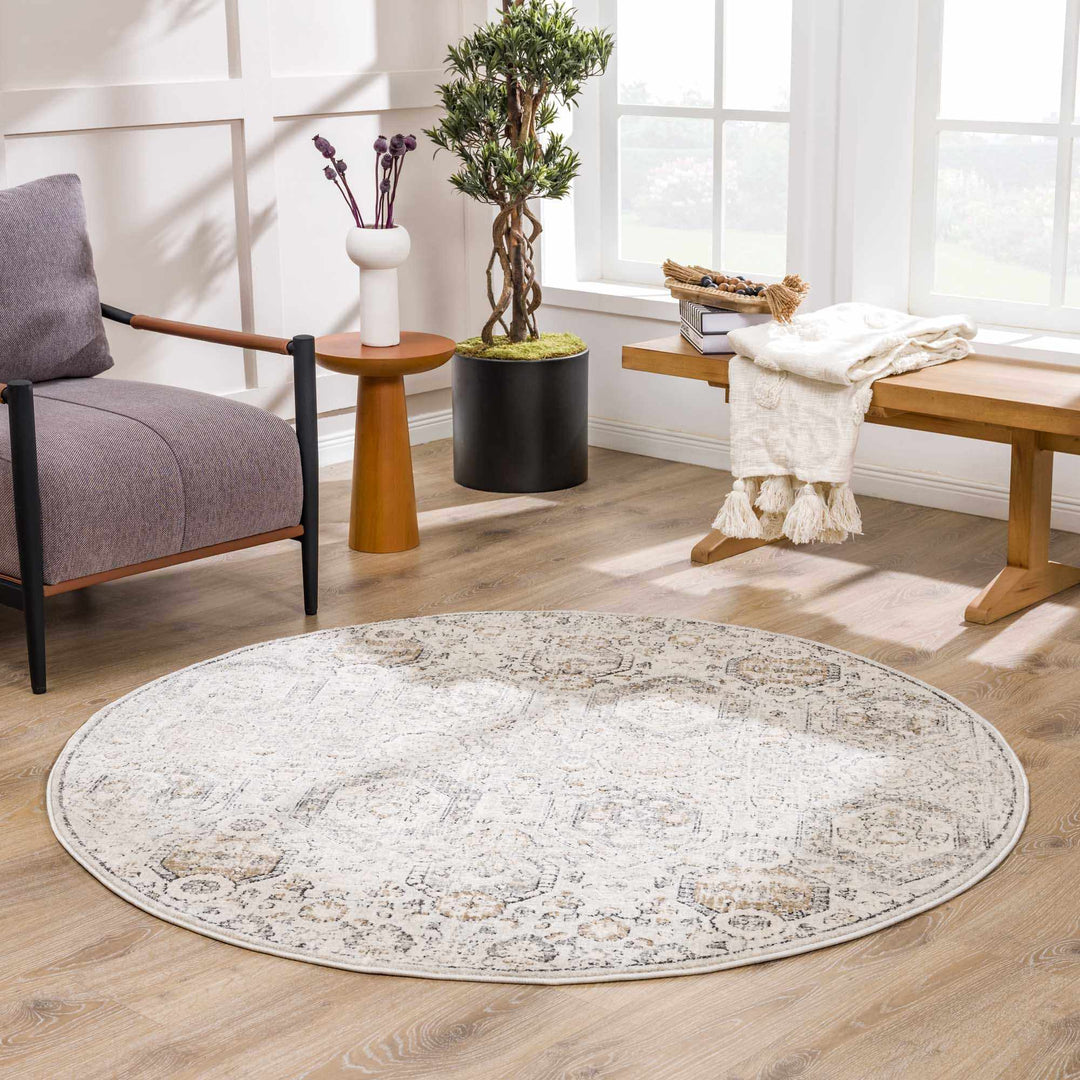 Traditional Overall Design Beige and Brown Medium Pile Area Rug - The Rug Decor