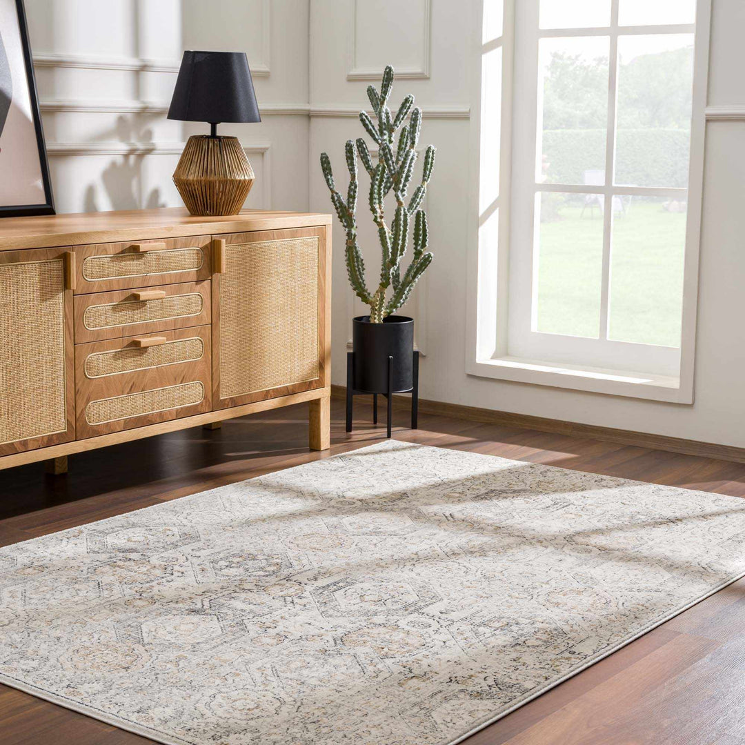 Traditional Overall Design Beige and Brown Medium Pile Area Rug - The Rug Decor
