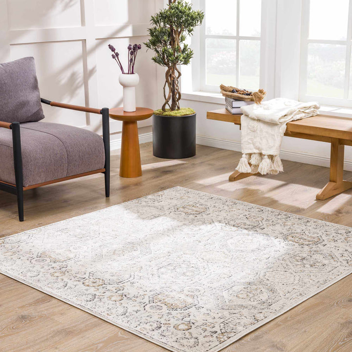 Traditional Overall Design Beige and Brown Medium Pile Area Rug - The Rug Decor