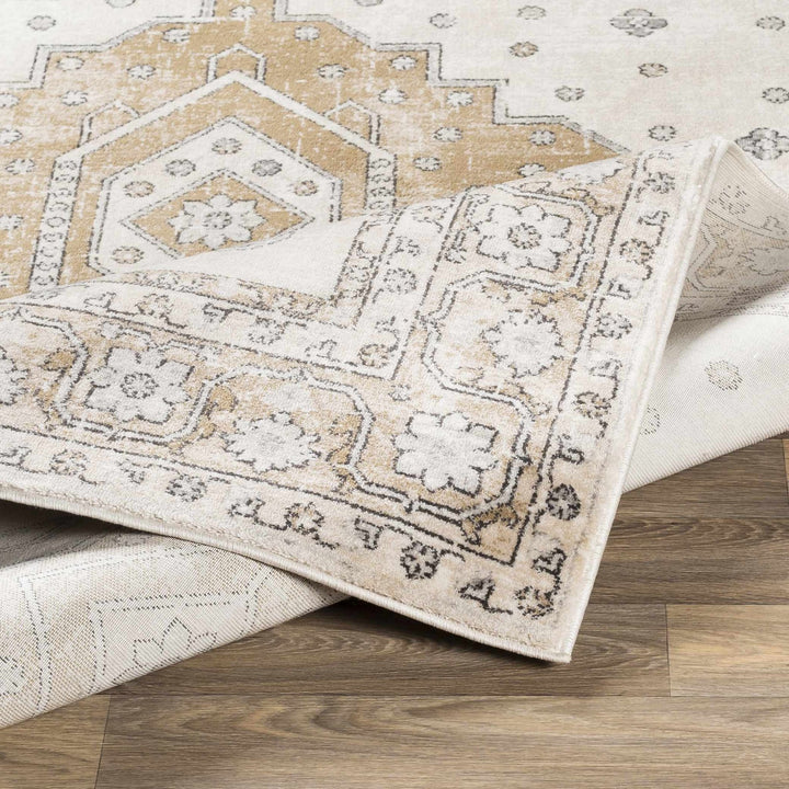 Traditional Turkish Design Beige, Brown, Gray, Sliver and Charcoal Medium pile Area rug - The Rug Decor