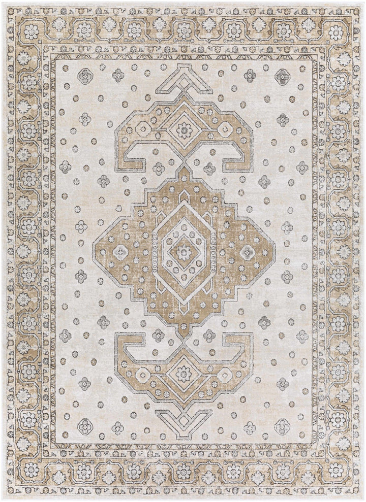 Traditional Turkish Design Beige, Brown, Gray, Sliver and Charcoal Medium pile Area rug - The Rug Decor