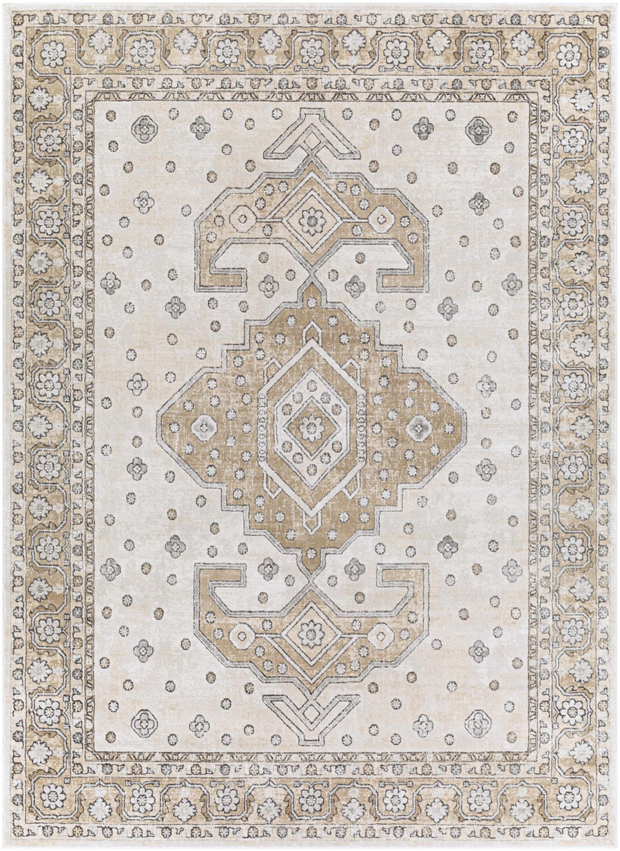 Traditional Turkish Design Beige, Brown, Gray, Sliver and Charcoal Medium pile Area rug - The Rug Decor