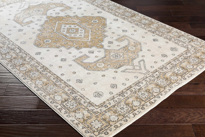 Traditional Turkish Design Beige, Brown, Gray, Sliver and Charcoal Medium pile Area rug - The Rug Decor