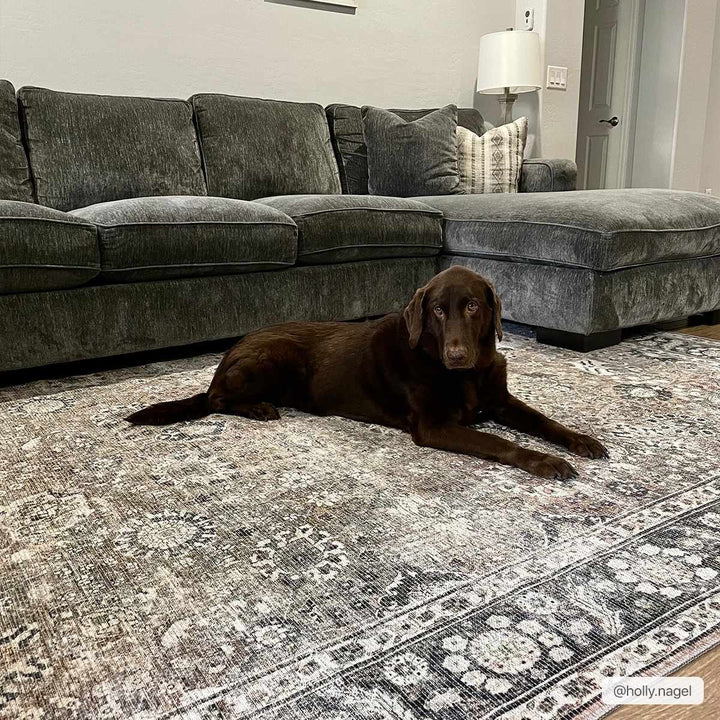 Traditional Turkish Floral Ivory, Brown and Charcoal Multi Size Machine Washable Rug - The Rug Decor